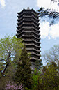 20100429_Peking_University_0008