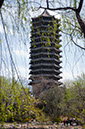 20100429_Peking_University_0017