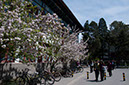 20100429_Peking_University_0049