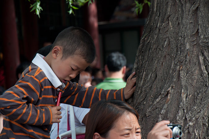 20100502_Summer_Palace_1250