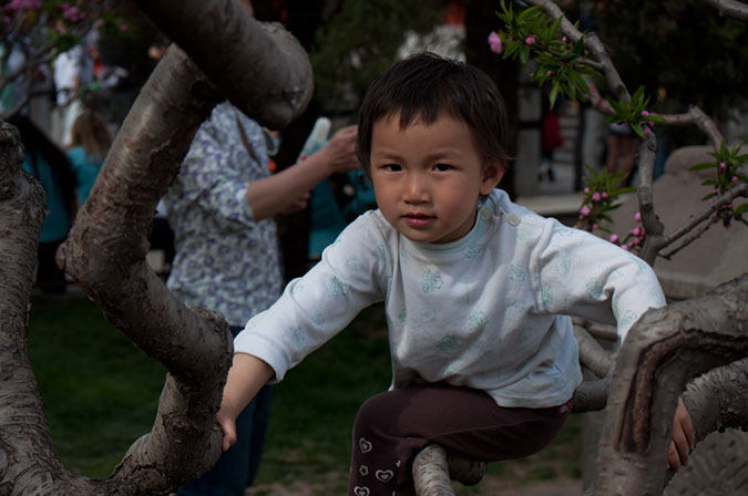20100502_Summer_Palace_1300
