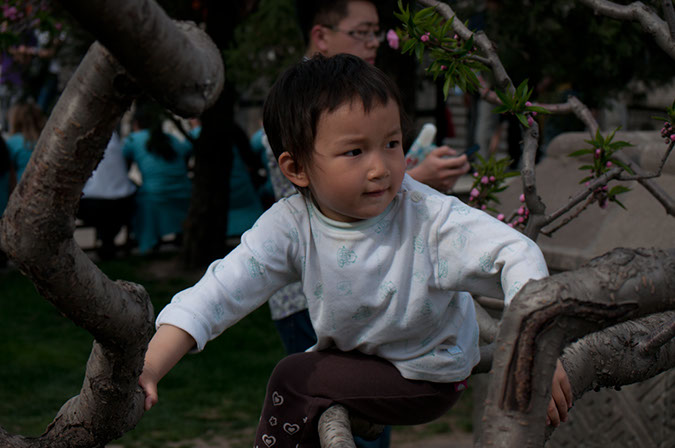 20100502_Summer_Palace_1301