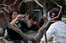 20100502_Summer_Palace_1297