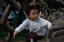 20100502_Summer_Palace_1301