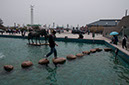20100508_Yantai_Show_Day_2420