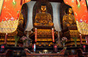 20100512_Shanghai_Day_Two_3545