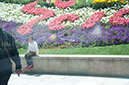 20100512_Shanghai_Day_Two_3615