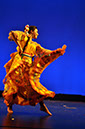 20100114_Living_Legends_Dress_01_14_10_0705